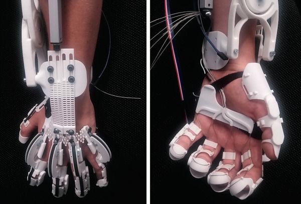Foto's exoskelet